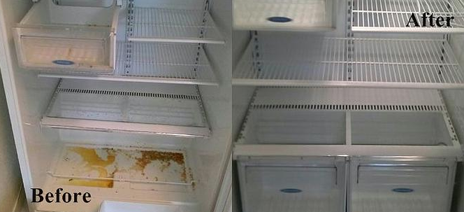 Freezer Cleaning